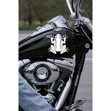 Mıgnatıs Simetrik Kurbağa Sticker - Araç Sticker - Sevimli Kurbağa Oto Sticker 15X15CM