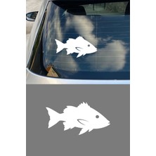 Mıgnatıs Balık Silüet Araç Cam Sticker - Balıkçı Sticker - Oto Sticker 15X8CM