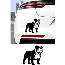 New Jargon Bulldog Sticker - Ingiliz Bulldog Araba Sticker - Köpek Oto Sticker 15X14CM
