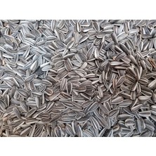 Hobi Çizgili Küçük Çekirdek 1 kg +1 Adet Mavi Yeşil Papağan Gaga Taşı