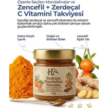 HERDEN Bodrum Mandalina Macunu | Zencefil, Zerdeçal, Havlıcan, Nane, Kekik, Okaliptus Yağı Içeren Macun 240 gr