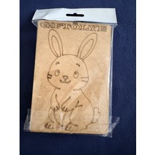 Giftölye 3D Aslan Figürü Taş Boyama Seti