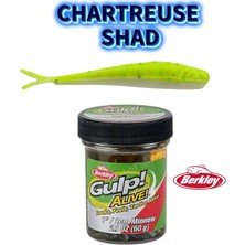 Berkley Gulp! Alive!® Minnow 1’’ Chartreuse Shad
