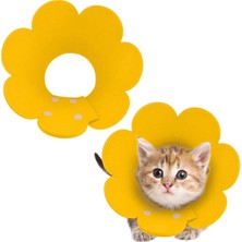 My Best Store Evcil Hayvan S Boy Keçe Elizabeth Yakalığı