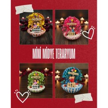 My Best Store Mini Midye Teraryum - Özel Gün Hediyesi