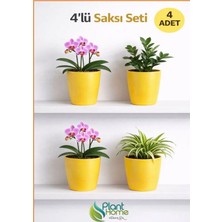 Hüskon Ticaret 4’lü Sarı Dekoratif Saksı Seti – 4 Adet Iç Saksı + 4 Adet Dış Saksı