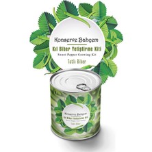 My Best Store Ieg™  Konserve Bahçem Evde Konservede Tatlı Sivri Biber Yetiştirme Kiti