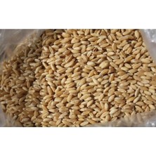 Emek Yem Elenmiş Buğday (Tavuk, Güvercin, Hindi, Kaz, Ördek - 3 kg -