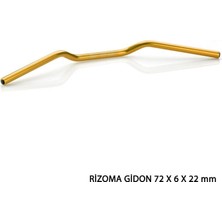 Gogo Premium Universal Rizoma Gidon Gold 72 x 6 x 22 mm