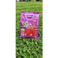 Whiskas 1+ Yaş Sığır Etli 300 G Kedi Maması