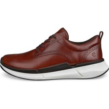 Ecco Biom 2.2