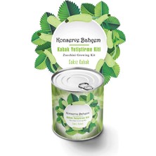 Senka Mey Ithalat® Konserve Bahçem Evde Konservede Sakız Kabak Yetiştirme Kiti