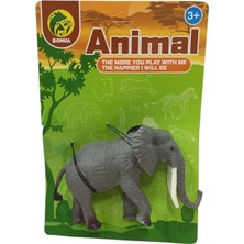 Senka Mey Ithalat® Bma-1-2-3-4 Tekli̇ Vahşi̇ Hayvanlar