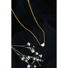 Lisinya Taşsız Kalpli Kolye Gold Renk