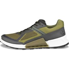 Ecco Biom 2.1 x Mountain