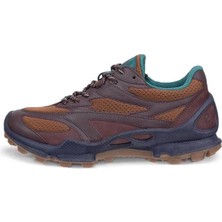 Ecco Biom C-Trail