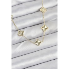 Pirinç Gold Renk Yonca Kadın Kolye - Lisinya