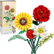 Hepta Collection Vrbff , , , (568 (///))