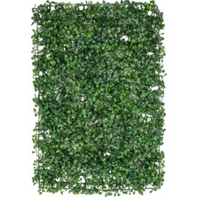 Hepta Collection 40X60 .