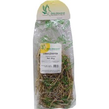 Bigelal Çoban Çökerten Otu Doğal 50 gr Paket