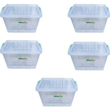 Hepta Collection Polytime Kilitli Düzenleme - Dikdörtgen - 0,5 Litre - 5