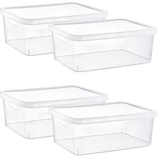 Hepta Collection 4' Stafi - , , -- ,