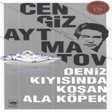 Bigelal Deniz Kıyısında Koşan Ala Köpek