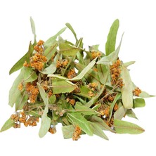 Bigelal Ihlamur Çiçeği 30 gr Paket