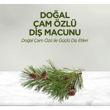 Senka Mey Ithalat® Doğal Diş Macunu 90 gr Çam Özlü