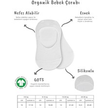 Senka Mey Ithalat® 2'li Penye Babet Silikonlu Basic Çorap 30104 Gri Beyaz