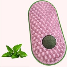 Eco Lounge Silikon Kaşıyıcılı Kedi Otu