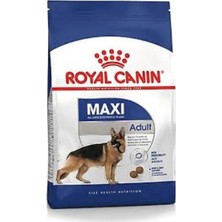Royal Canin Maxi Adult Büyük Irk Yetişkin Köpek Maması 15 kg