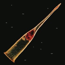 SoundBox Leprous - Melodıes Of Atonement (Ltd. CD Medıabook & Patch) - 1 Cd( Plak Değildir CD Dir.)