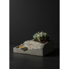 BİTON Ripple Saksı Beton Saksı