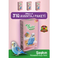 Bird Food Energy Şaşkın Muhabbet Kuşu Yemi 250 G - 3 Adet