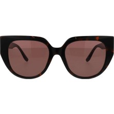 Ice Berg Güneş Gözlüğü IC701 54 S02