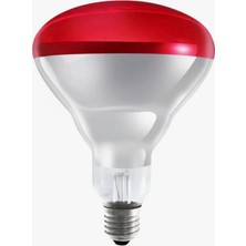 Baltaş Küpe 3 Adet 250W Kırmızı Infrared Ampul