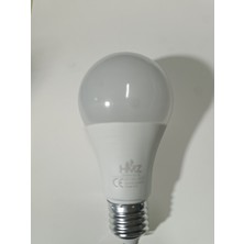 Hmz 12WATT LED Ampül
