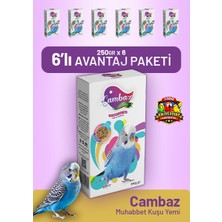Bird Food Energy Cambaz Muhabbet Kuşu Yemi 250 G - 6 Adet