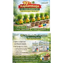 Wesank 10 Paket Kaplumbağa Çim Yetiştirme Kiti (Boya+Fırça+Toprak+Tohum+Kaplumbağa)