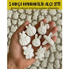 Wesank 5 Parça Alçı Boyanab?l?r Ta?