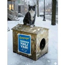 Zekimöble Dış Mekan Yağmura Ve Soğuğa Dayanıklı Osb Kedi Evi (deniz Tutkallı) Kedi Evi Ahşap