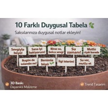 Wesank Saks? Mesaj Tabelas? 3D Bask? Dekoratif Bitki Yaz?s? | 10 Farkl? Yaz? |
