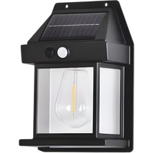 Cata CT-7319 Gece Solar Aplik 20W Gunisigi