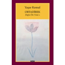 Asa Store Ortadirek - Dağın Öte Yüzü 1