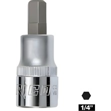 Rico Rıco 1/4 H6 Lokmalı Allen Uç Kısa 6 mm