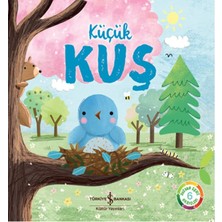Asa Store Küçük Kuş