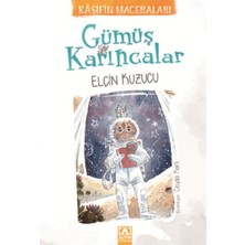 Asa Store Gümüş Karıncalar