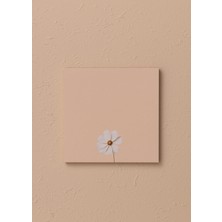 The Mia Art Line Mini Notluk Cosmea 10 x 10 cm 40 Yaprak