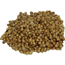 Balkan Grup Kişniş Doğal Tane 100 gr Paket